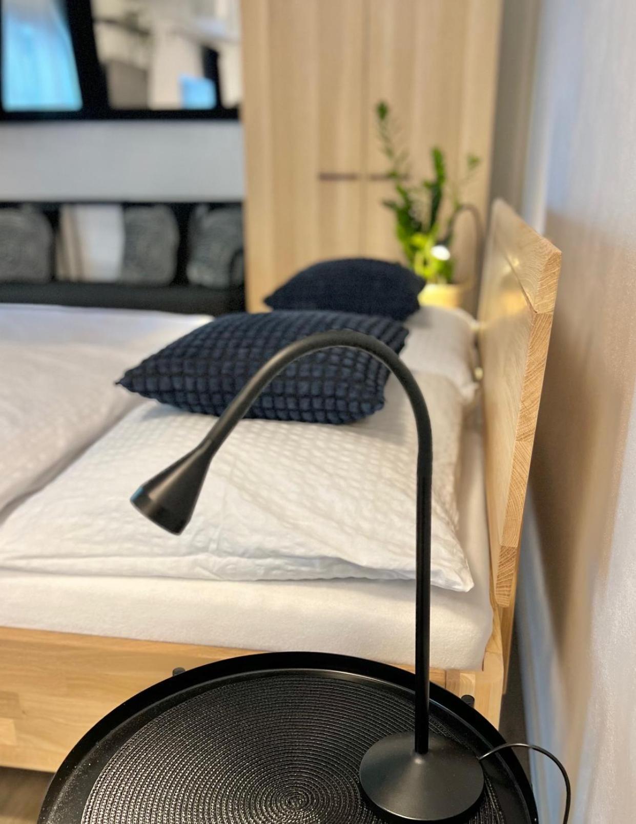 Apartmany Benesov Benesov nad Ploucnici Екстериор снимка