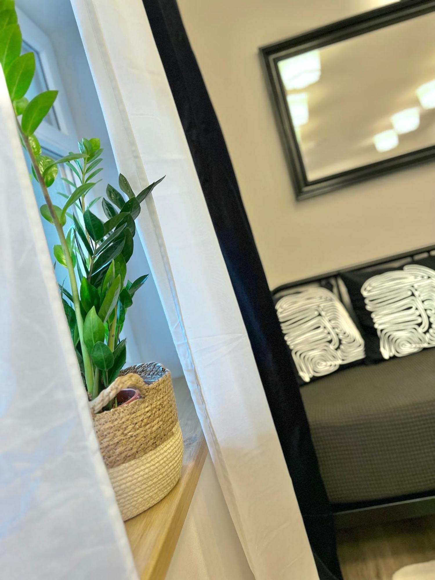 Apartmany Benesov Benesov nad Ploucnici Екстериор снимка