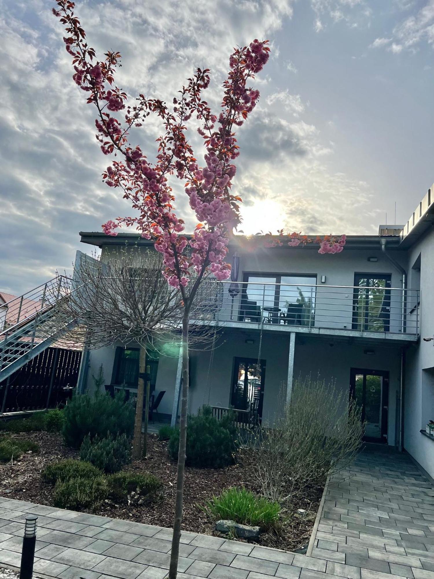Apartmany Benesov Benesov nad Ploucnici Екстериор снимка